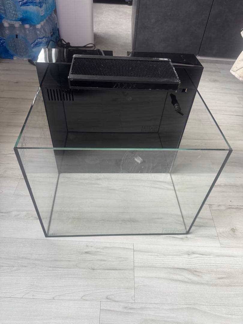 やっちゃん　Shell 水槽