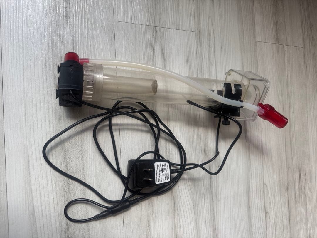 やっちゃん　Shell 水槽