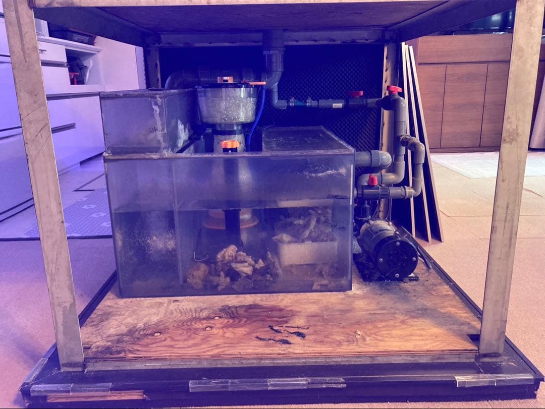 アクリル 大型 水槽 水槽セット 900×900×500 海水魚 珊瑚 飼育