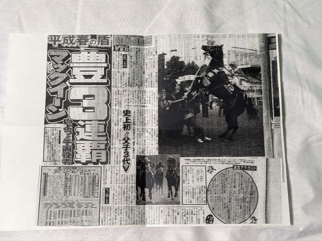 メジロマックイーン　武豊　天皇賞春　競走馬　写真パネル　額縁入り