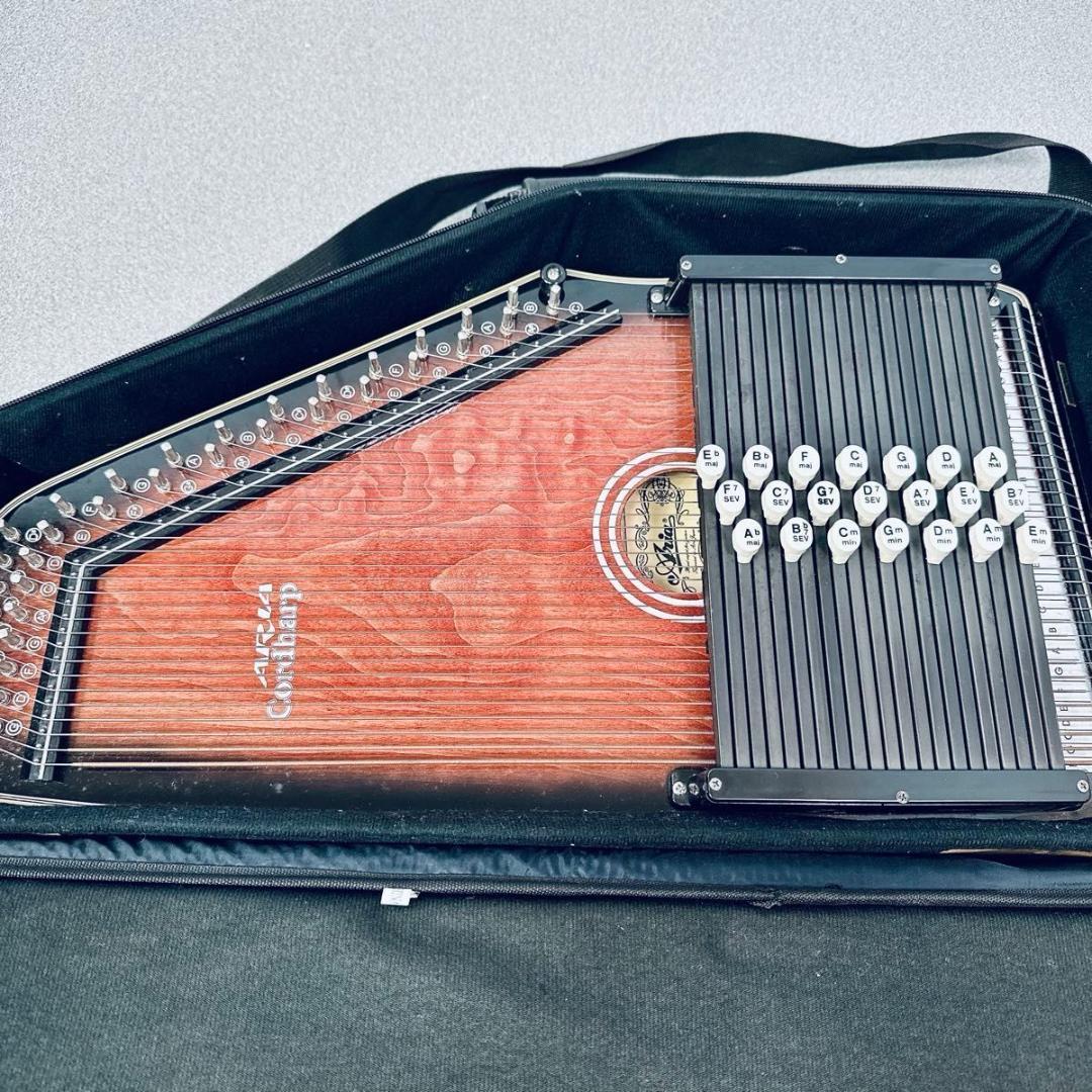 Aria コードハープ オートハープ AH-21 取説 ケース付き