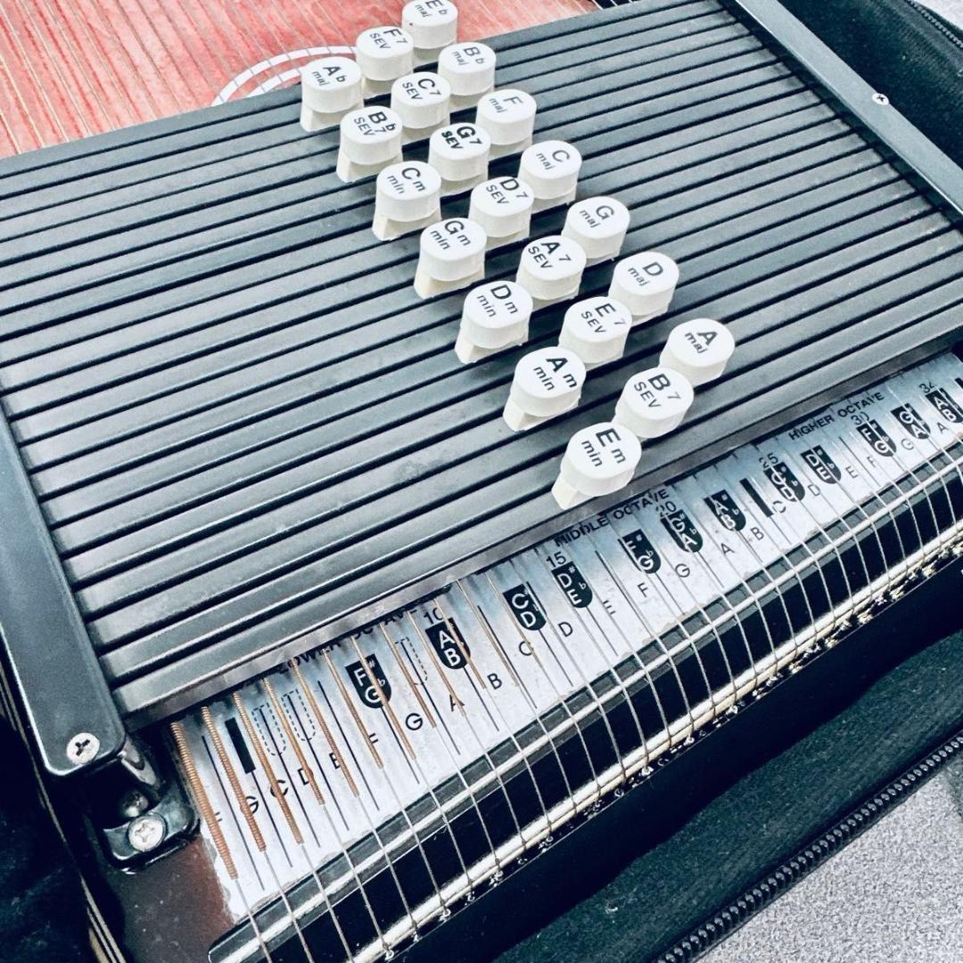 Aria コードハープ オートハープ AH-21 取説 ケース付き