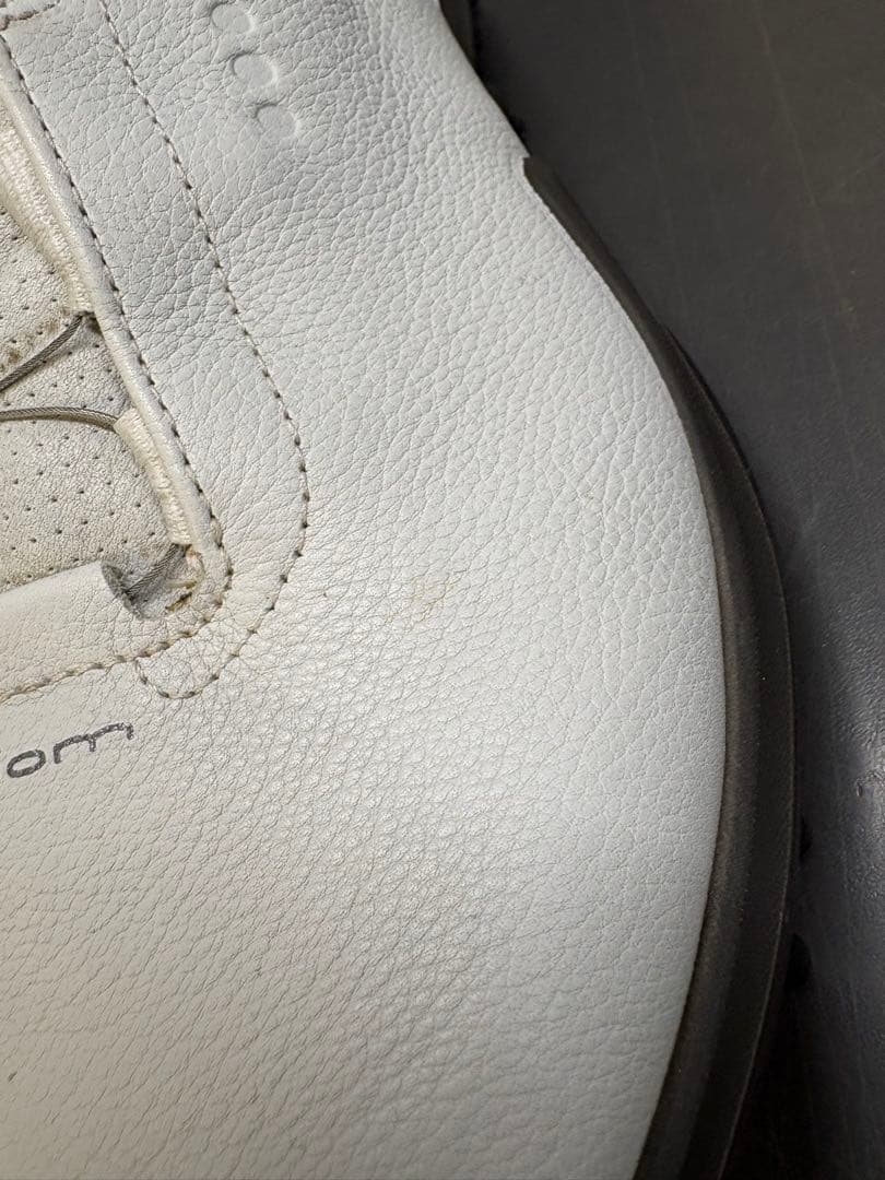 ecco エコー ゴルフシューズ BOA BIOM