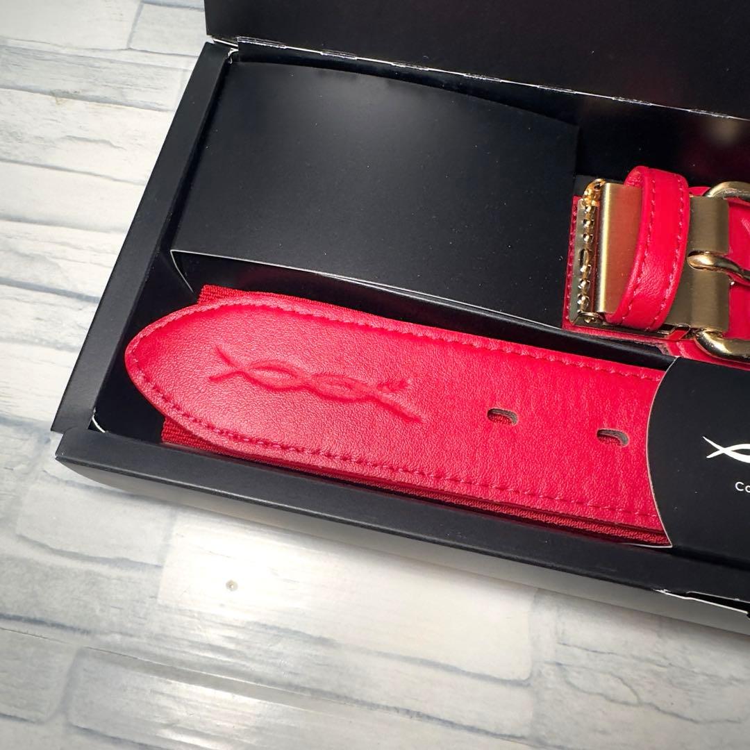 CoreEnergy 未使用 野球用ベルト ボックス付き