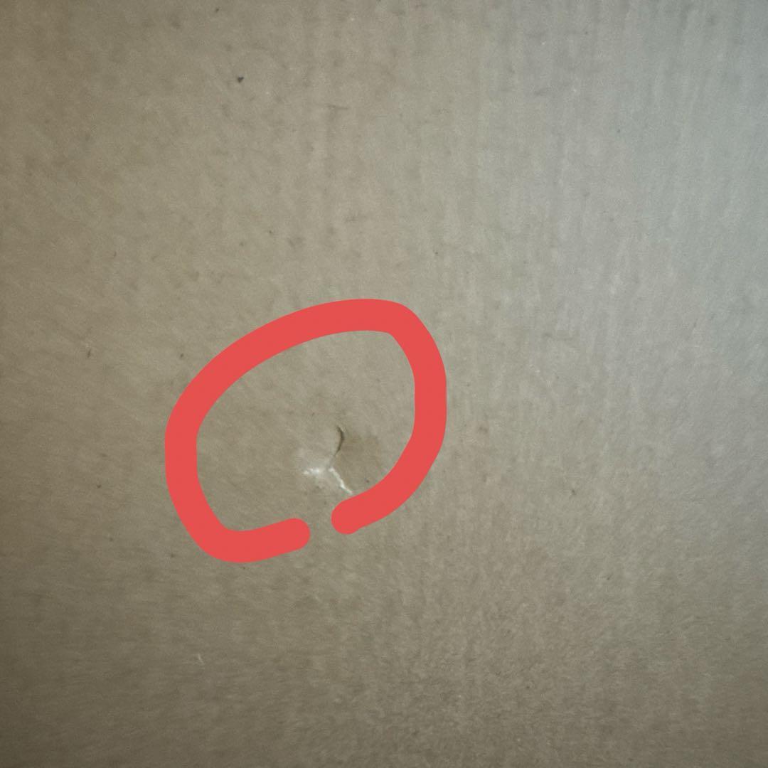 l build デスティニーガンダム フルパッケージ 2024