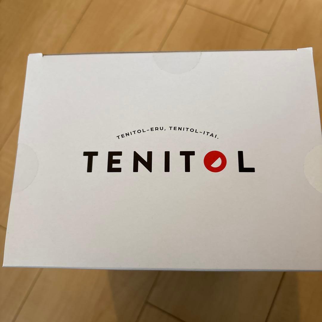 TENITOL 霊夢霊夢（Reimu Hakurei）　背景パネル付き