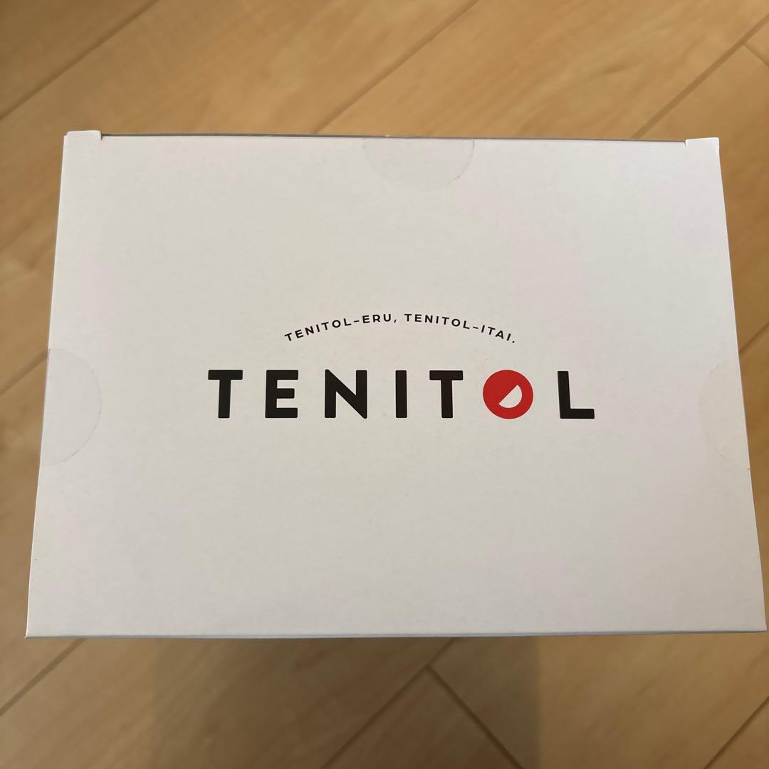 TENITOL 霊夢霊夢（Reimu Hakurei）　背景パネル付き