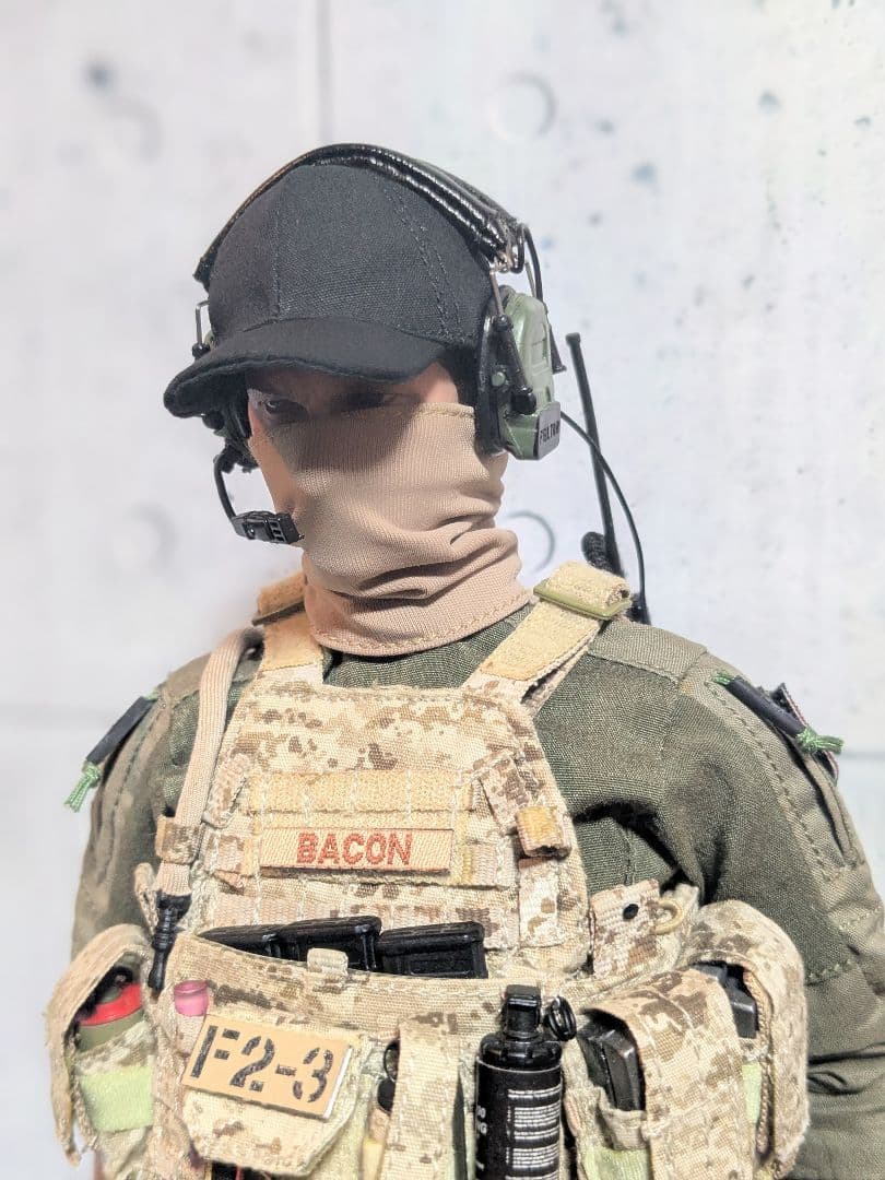 1/6 12インチ アメリカ軍特殊部隊 DEVGRU CS