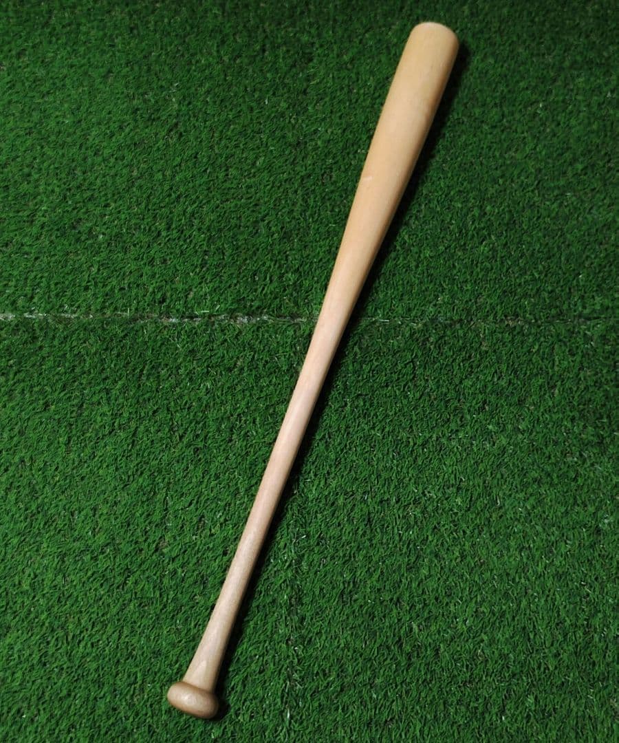 ミズノプロ　中田翔　木製バット