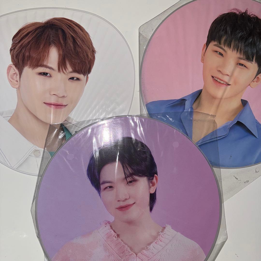 うちわ　ホシウジ