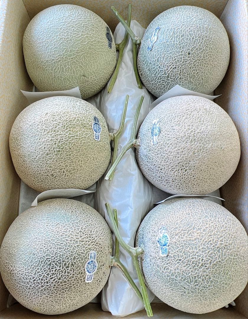 最高級クラウンメロン　温室マスクメロン　マスクメロン