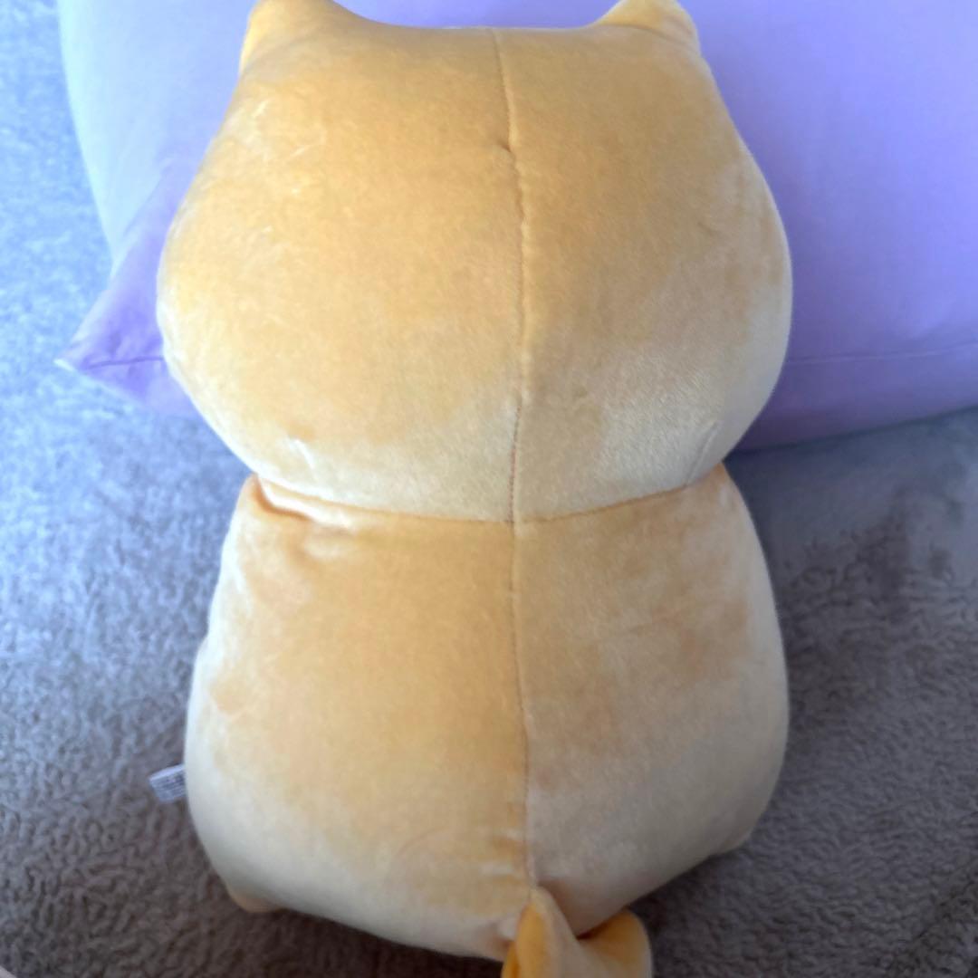 お文具さん ぬいぐるみXL 子猫さん