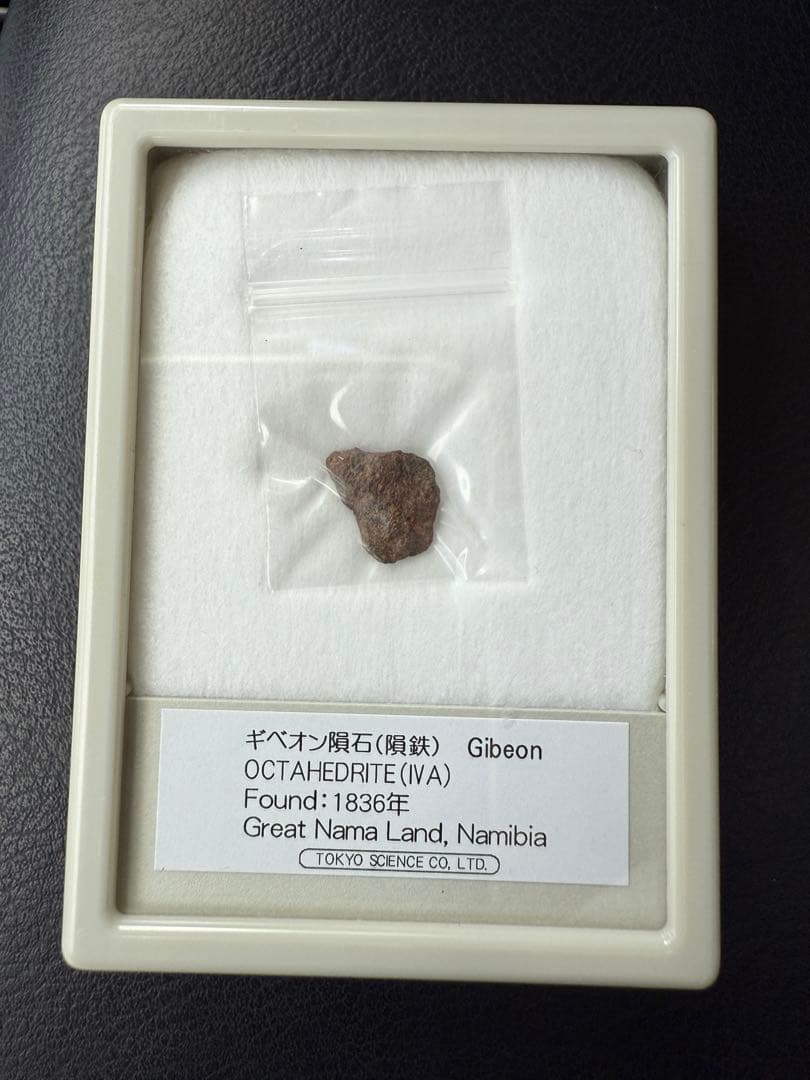 隕石　セット　標本　夏休み　自由研究