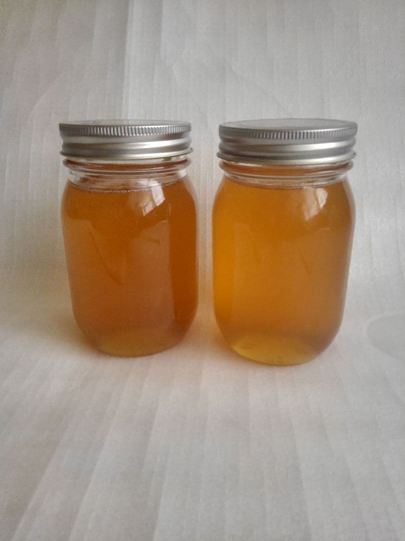 日本蜜蜂ハチミツ