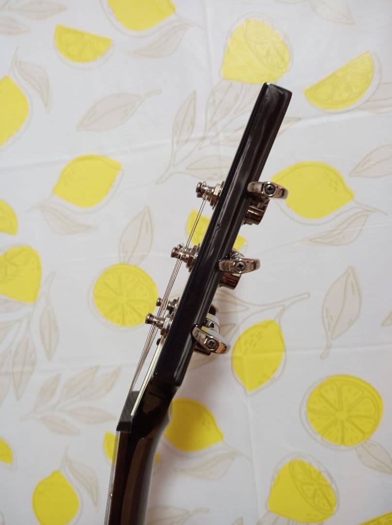 ギター Daisy Rock Stardust Elite Midnight Burst