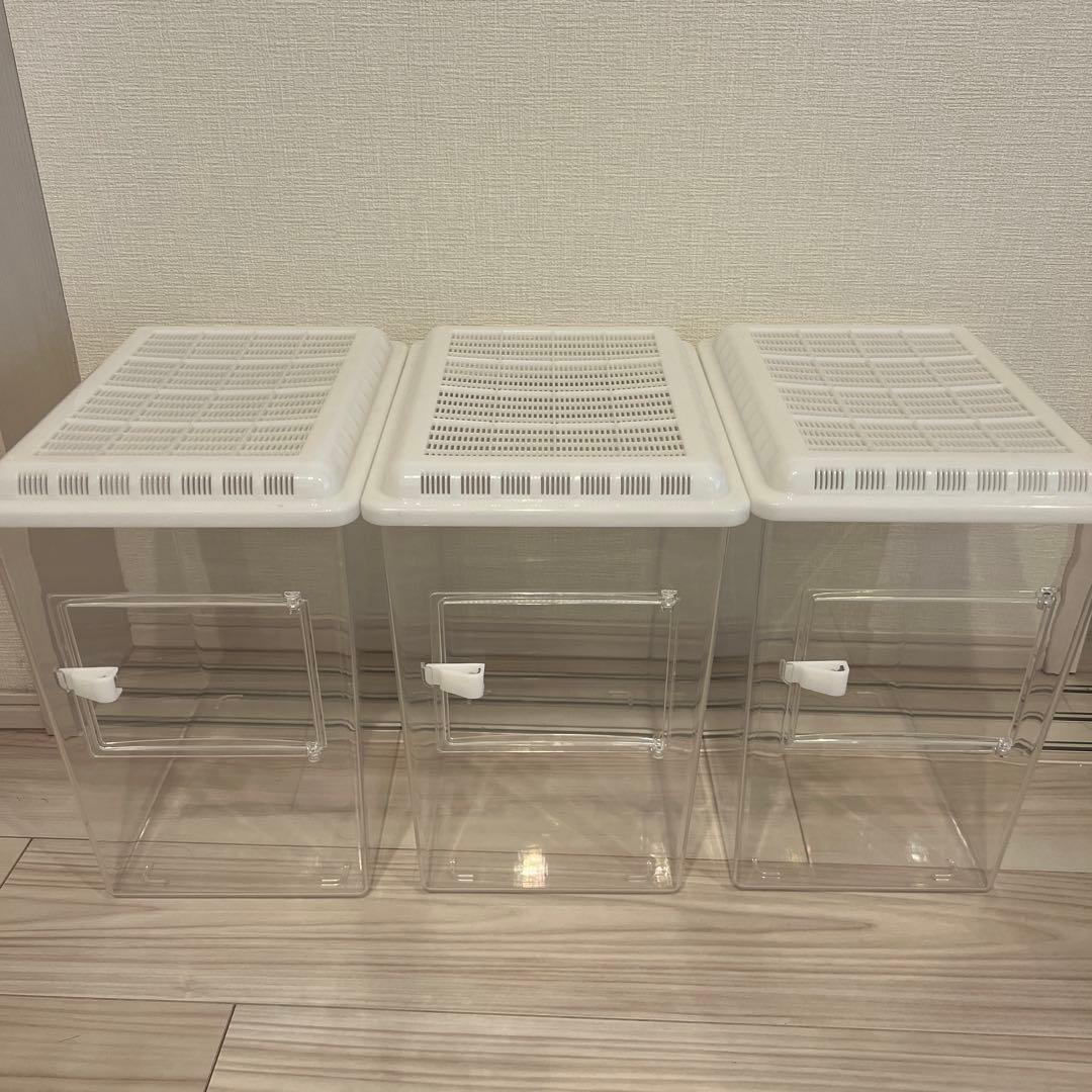 レプティギア　ハイ　3個セット