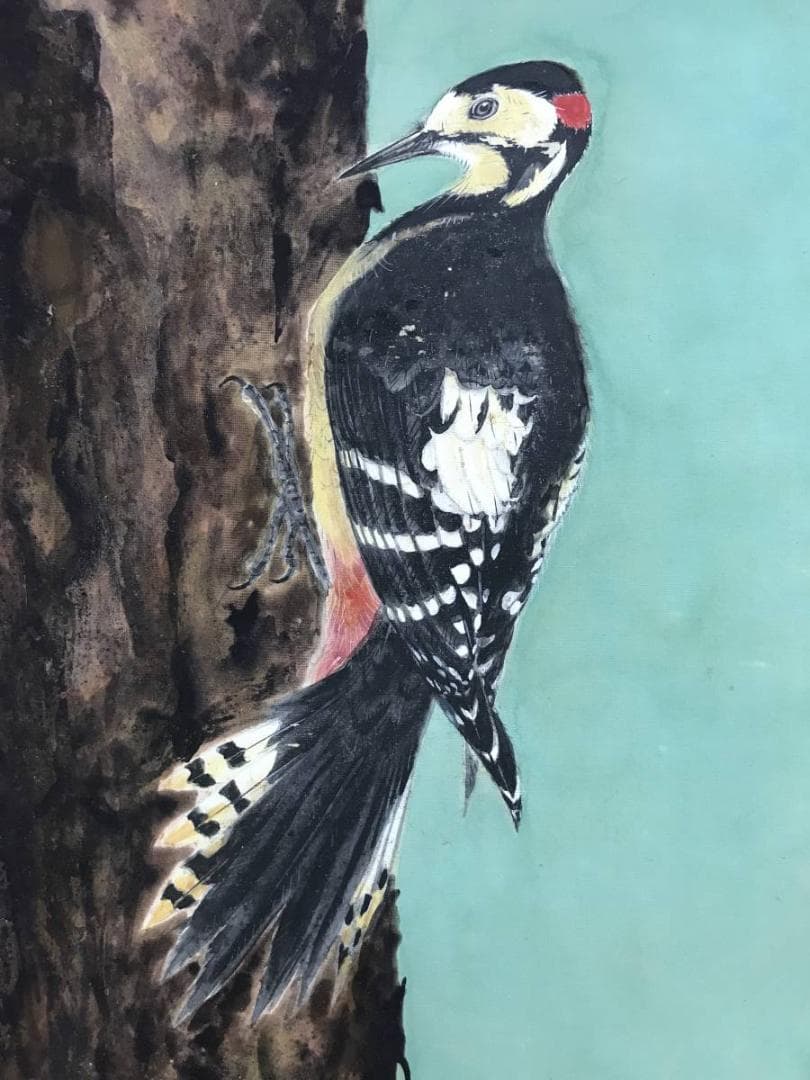 真作/朝見香城/樹間啄木鳥図/キツツキ/花鳥図/掛軸/名家伝来/AD-877