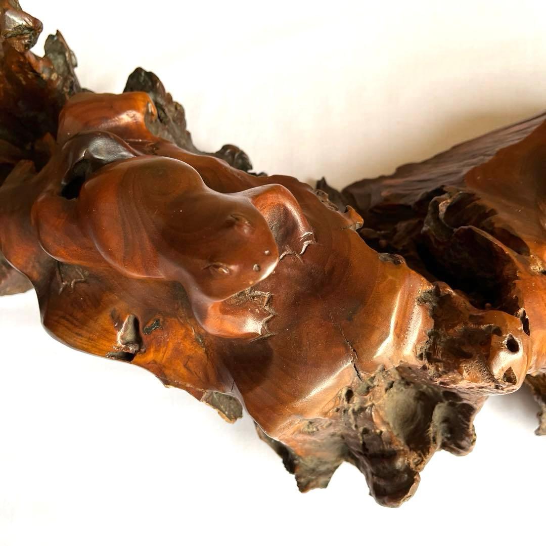 天然木　カエルの彫刻　流木　インテリア装飾　彫刻　美術品　骨董　幅60㎝　カエル