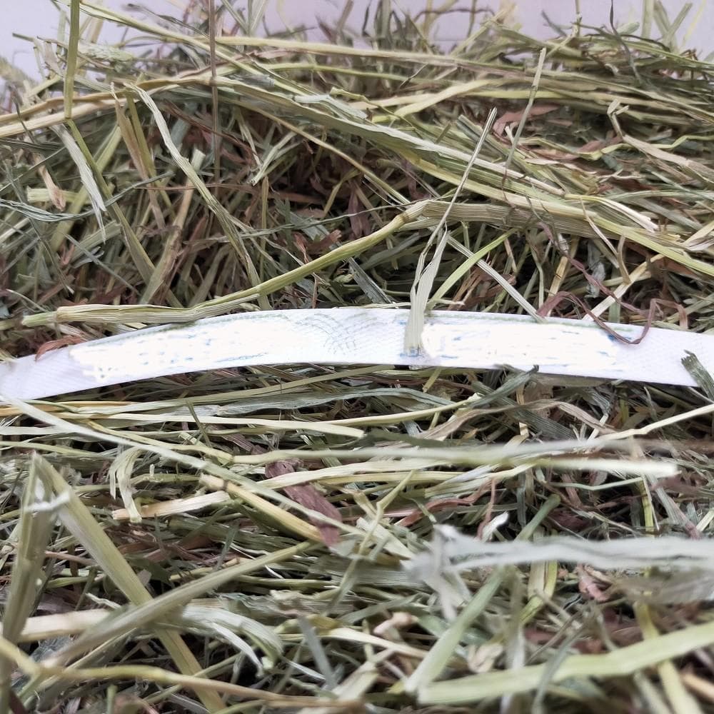 【お得な業販価格】US産 チモシー 2番刈り 300kg ソフトSプレミアム