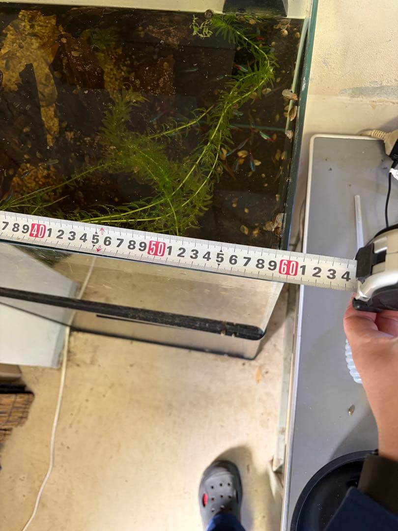 対面受け渡し限定‼️ オーバーフロー水槽　熱帯魚　濾過槽　ポンプ・流木・ろ材付き