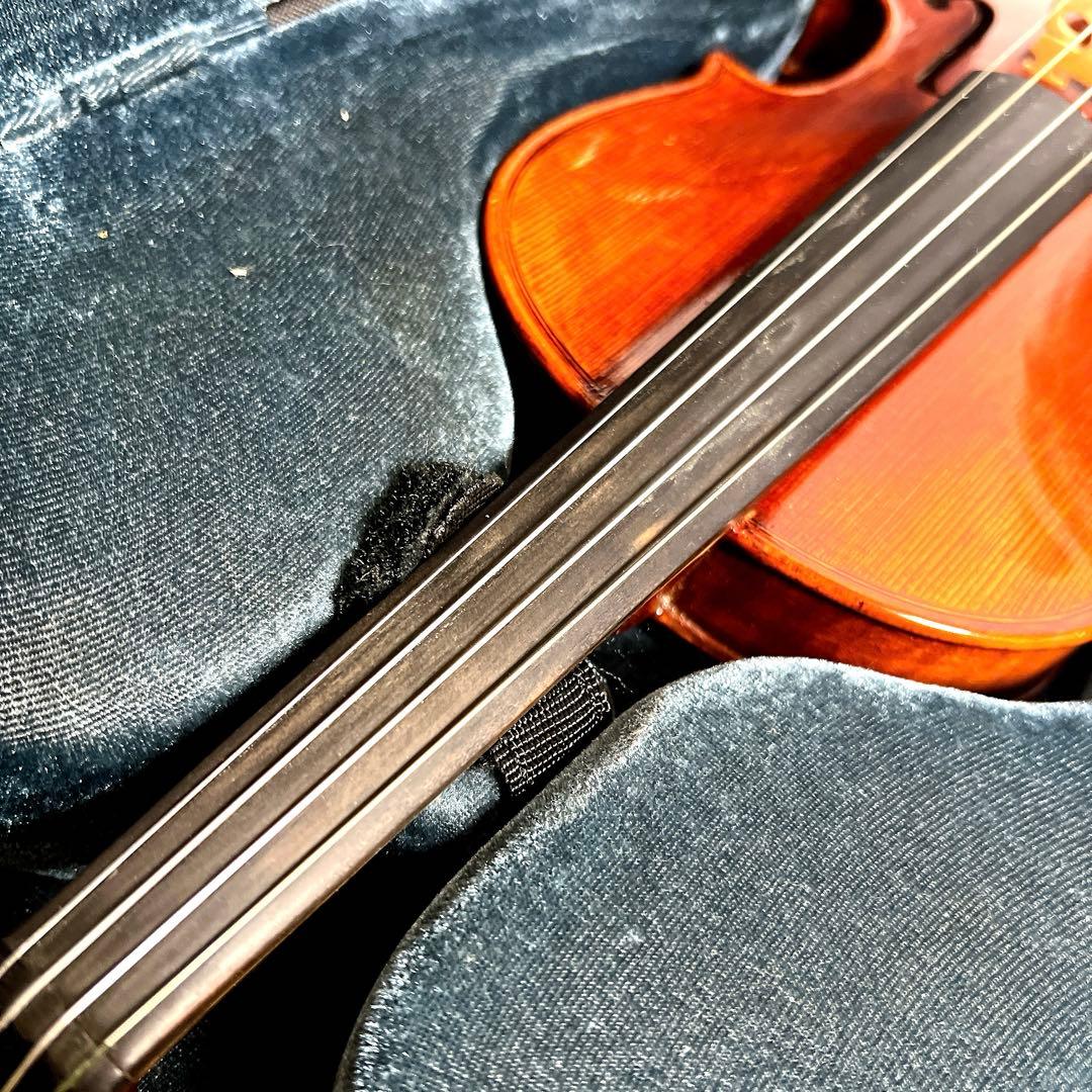 【美虎杢】Carlo giordano VS-2 1/2 バイオリン　弦楽器