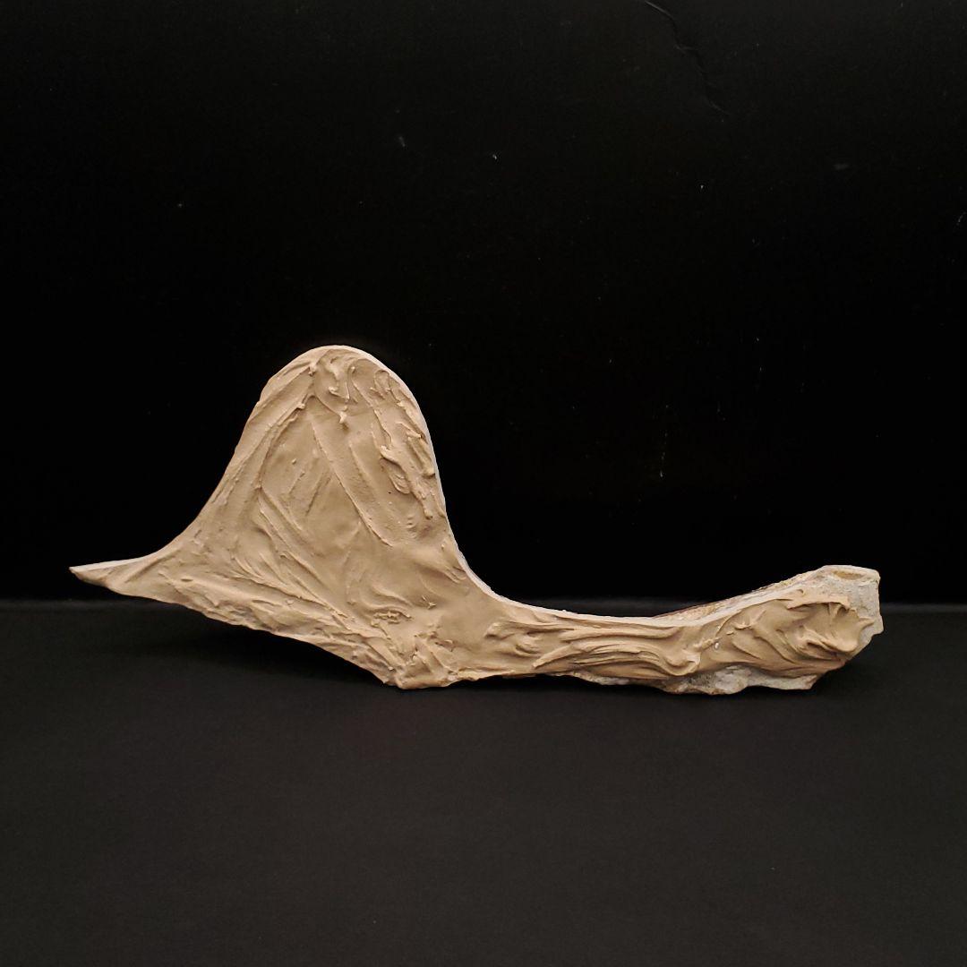 博物館級 タペヤラ 化石 下顎 恐竜 本物 ブラジル産 225mm fr77