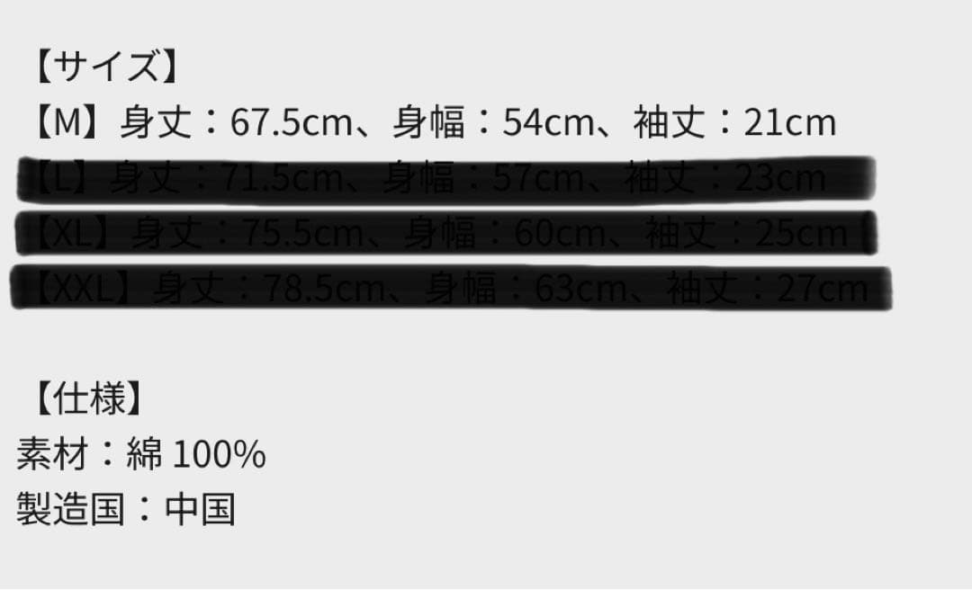 oasis ツアーTシャツ Tokyo 1025