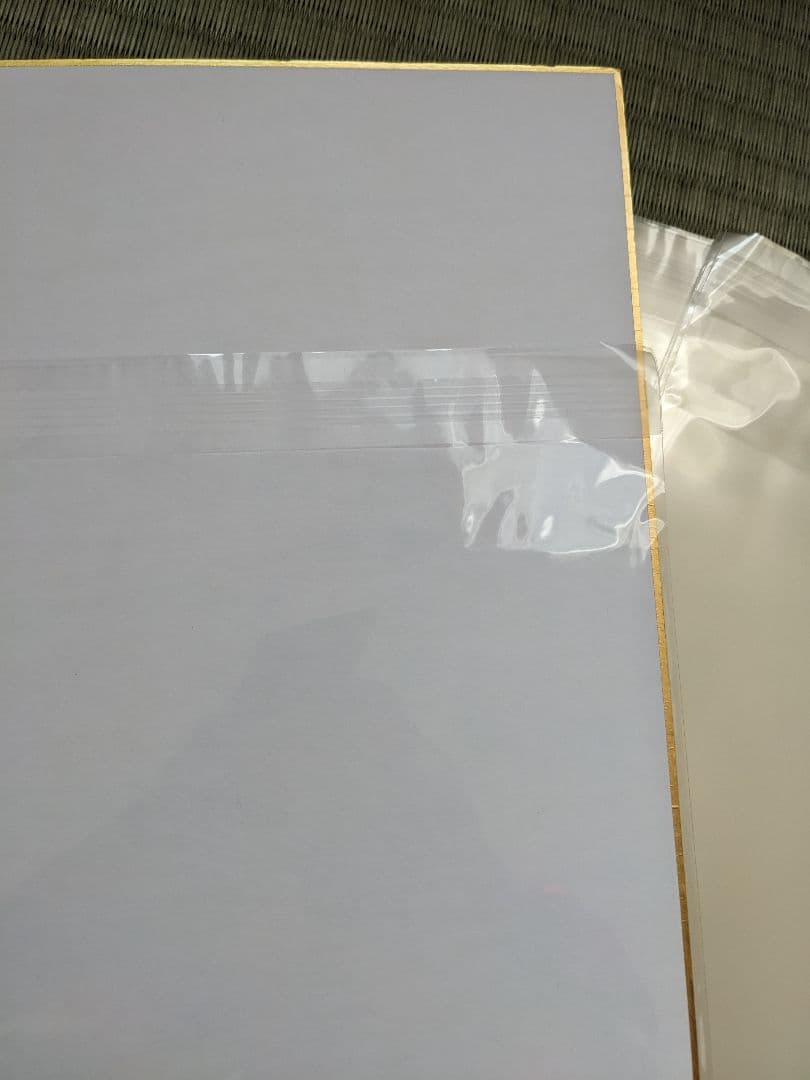 サイン用のボール＆サイン色紙カバー用の袋