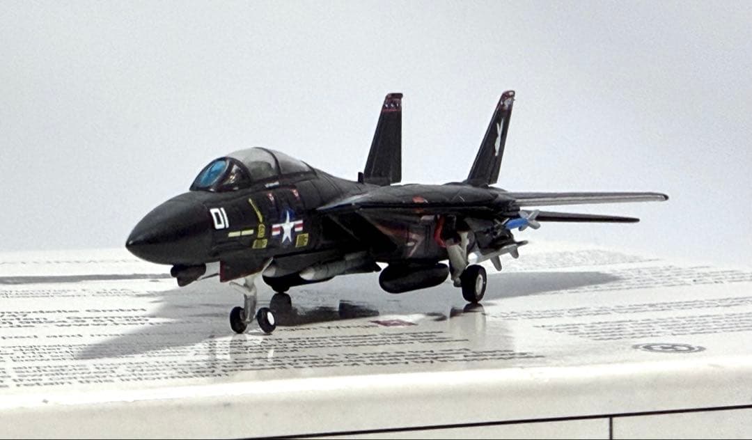 herpa 1/200 F-14A US Navy VX-4 ブラックバニー