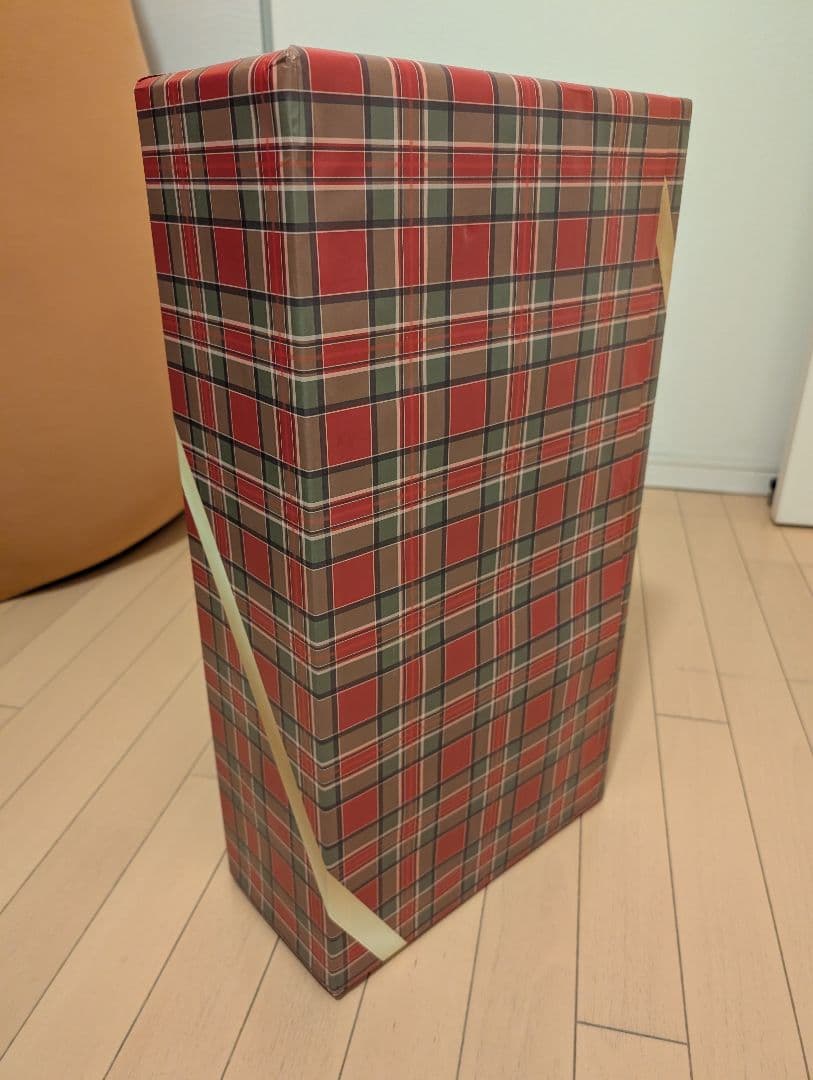 新品未使用✨STRIDER ストライダー スポーツモデル アイスブルー 限定