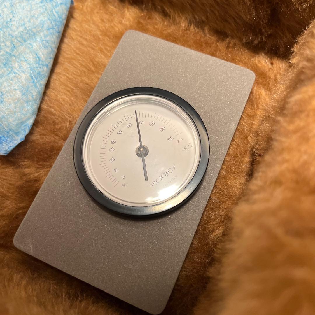 Yoshi　Gibson Les paul Special BOBLEN