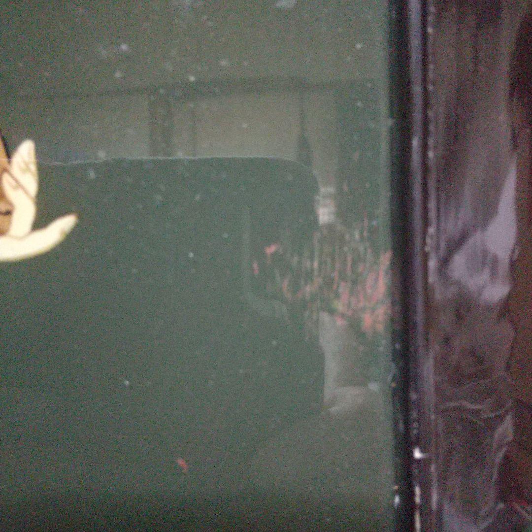 硝子絵 額装 婦人相学十躰 / 浮気之相図 喜多川 歌麿 反転写し