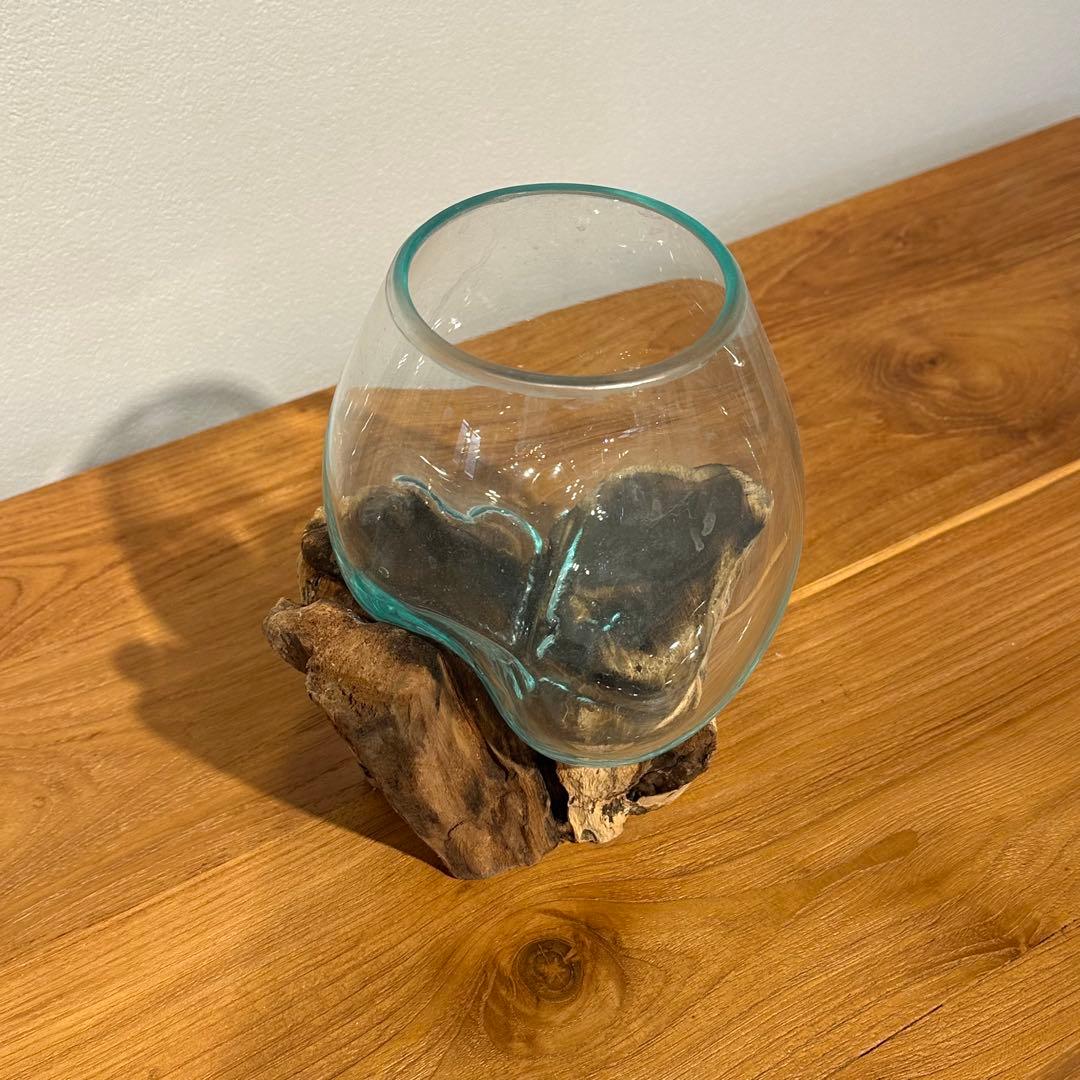 バリ島流木ガラス　w17×d14×h19cm 水槽　アクアリウムメダカ水槽801