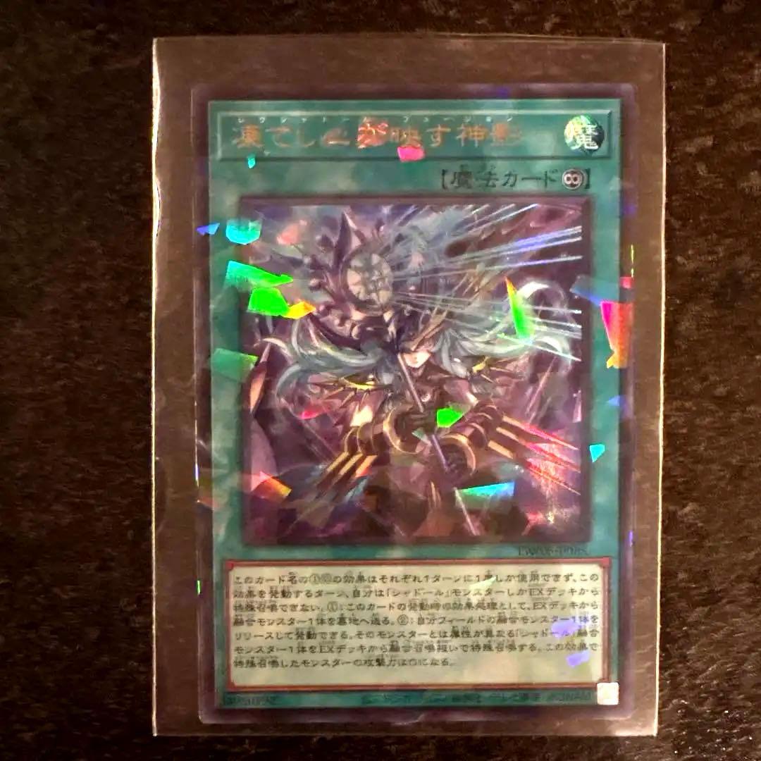 遊戯王 凍てし心が映す神影 レヴシャドール フュージョン ターミナルワールド3