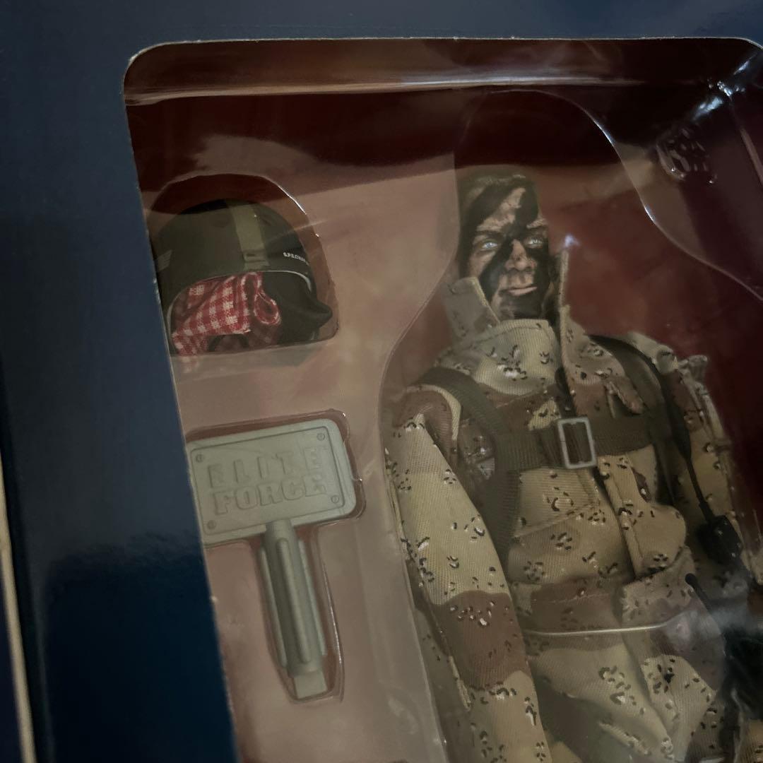 【即購入ok!!】DELTA FORCE ”STRIKER” 1/6 フィギュア