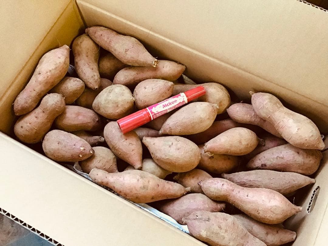 種子島産安納芋　Sサイズ20kgさつまいもの王道 どうぞ　#25