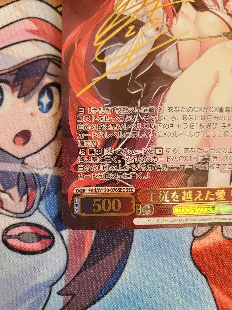 主従を越えた愛 リアス サイン SEC