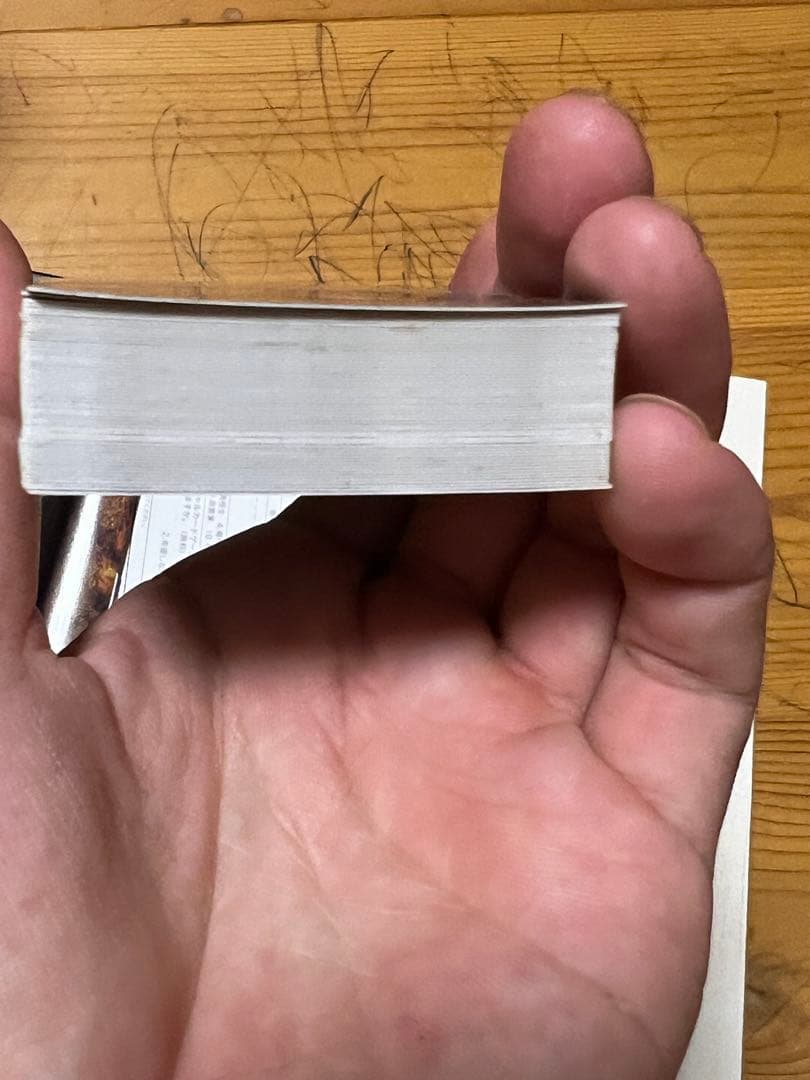 遊戯王 ストラクチャーデッキ 遊戯編 ブラックマジシャンガール