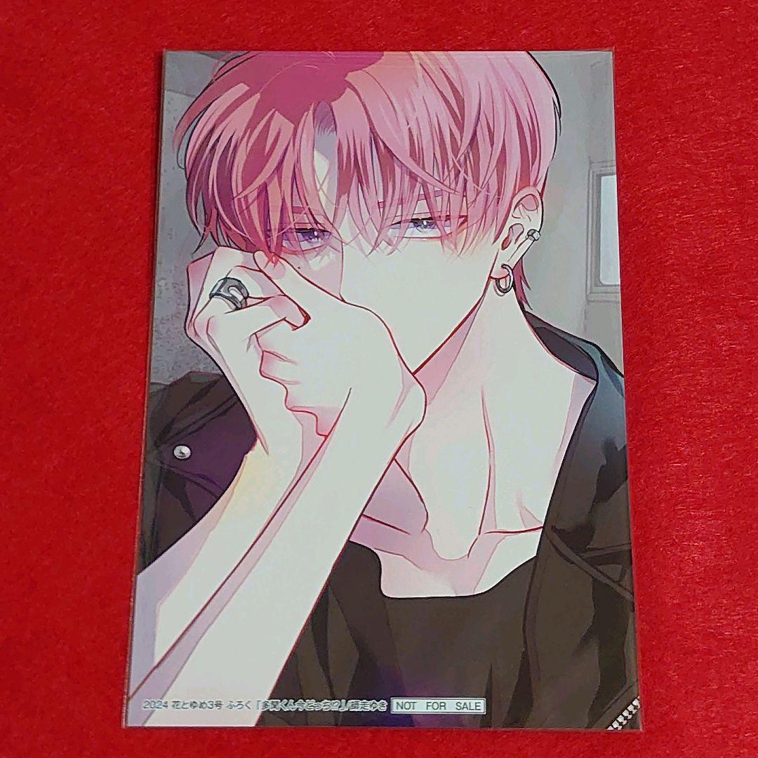 【新品未使用】多聞くん今どっち！？ 全サ ふろく 特典 7点 セット