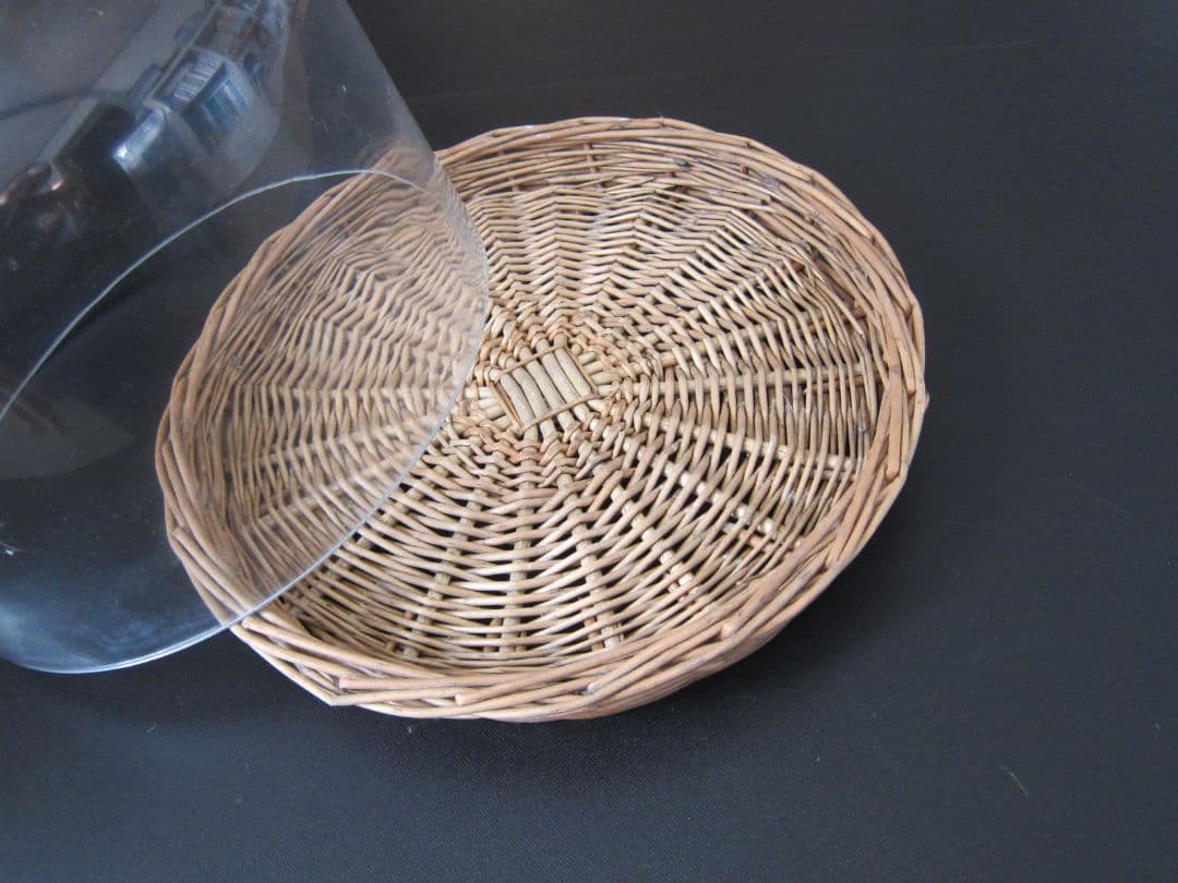 大きなガラスドーム　ケーキドーム？　直径約25cm