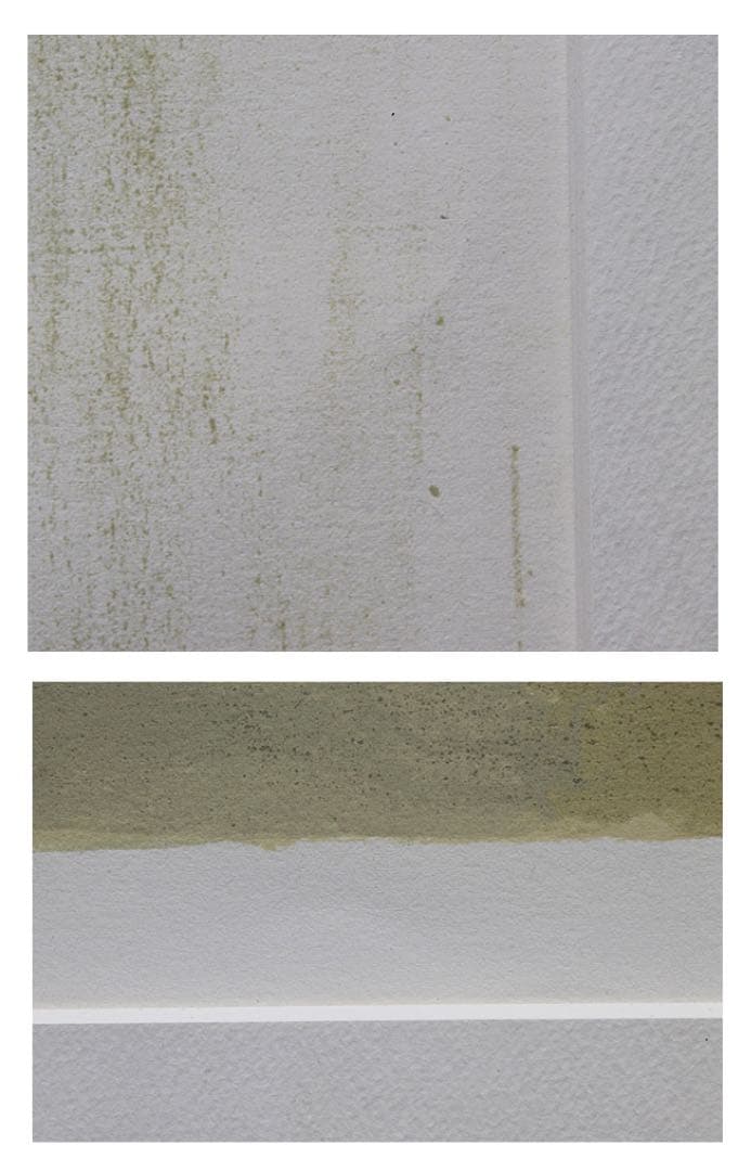 カトラン 【黒い背景のバラの花束】 リトグラフ 直筆サイン