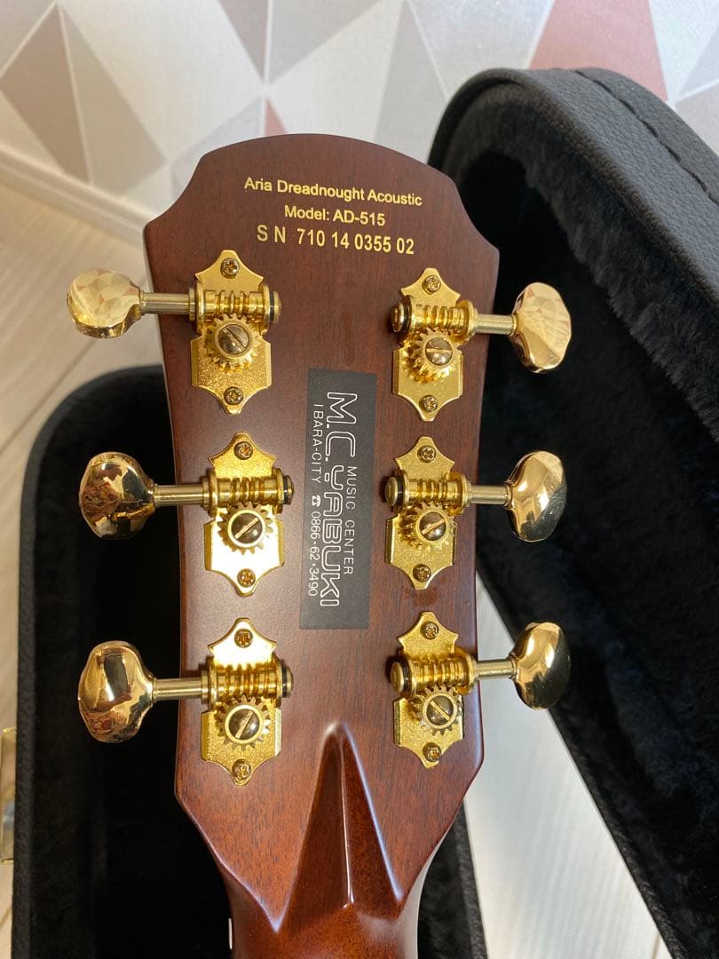 美品Aria DreadnoughtEST1956AD515 ギターハードケース