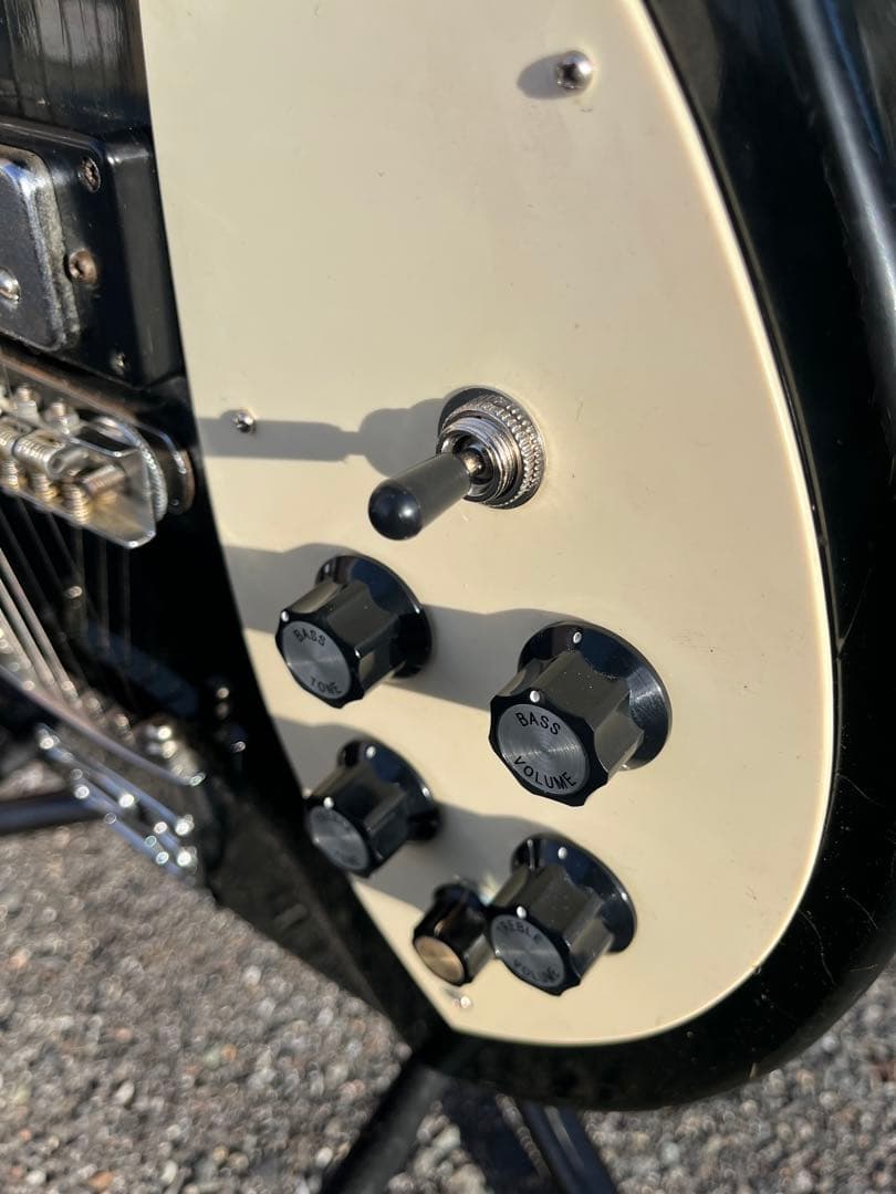 Honey リッケンバッカーモデル