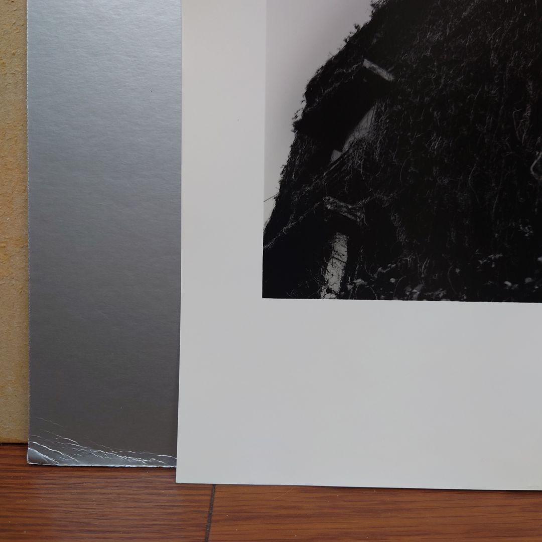 銀塩プリント・一点のみ　井上治（Osamu Inoue）フォトアート作品　静物