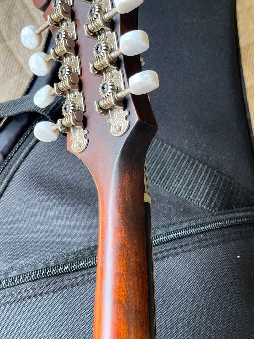 た*ん様 Eastman MD314 イーストマン フラットマンドリン