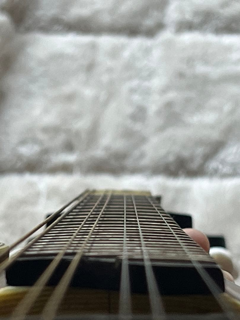 た*ん様 Eastman MD314 イーストマン フラットマンドリン