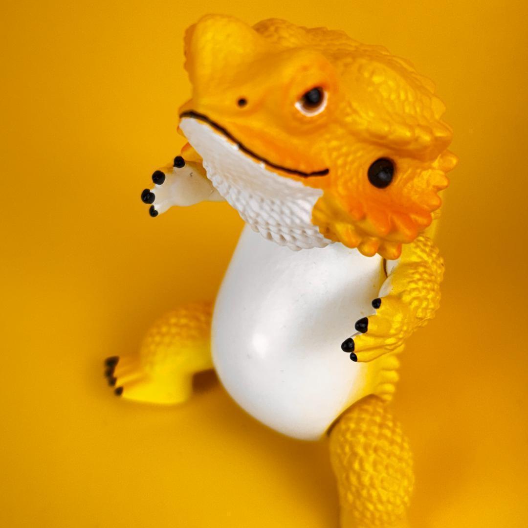 フトアゴヒゲトカゲ 爬虫類 ソフビフィギュア オレンジ・イエローオマケ付