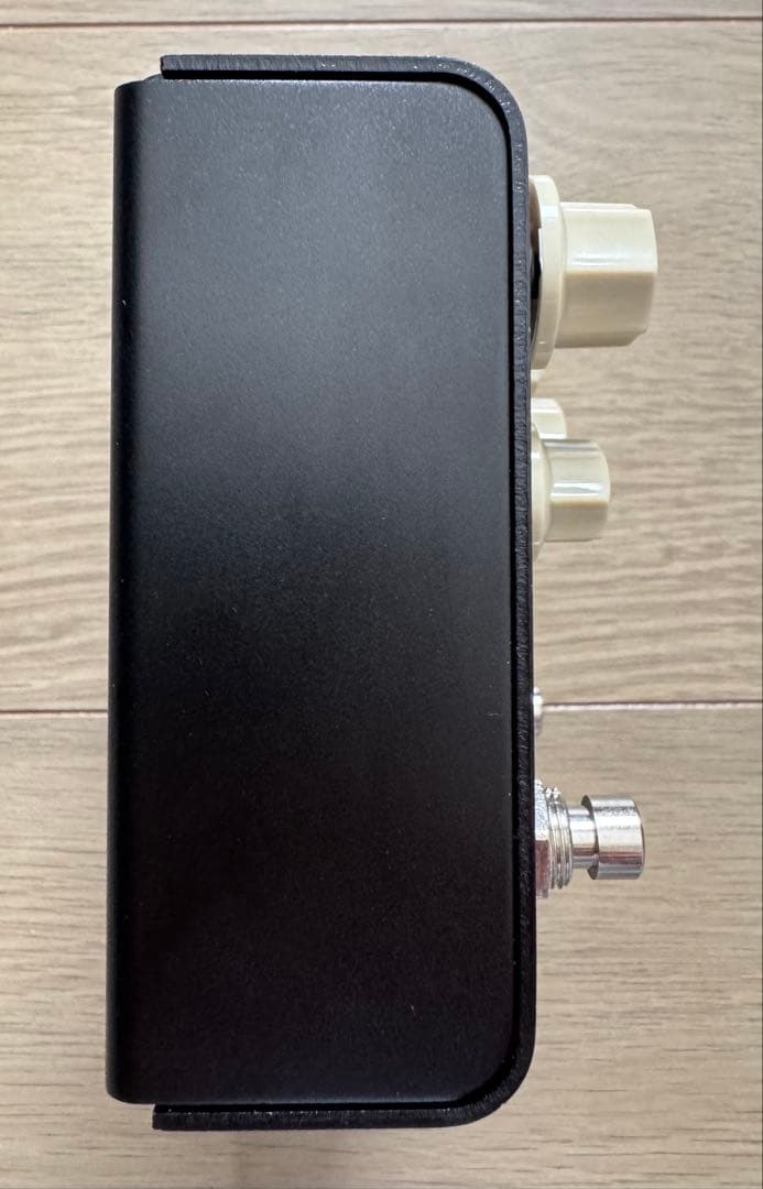 【美品】Strymon FLINT V2 スライモン