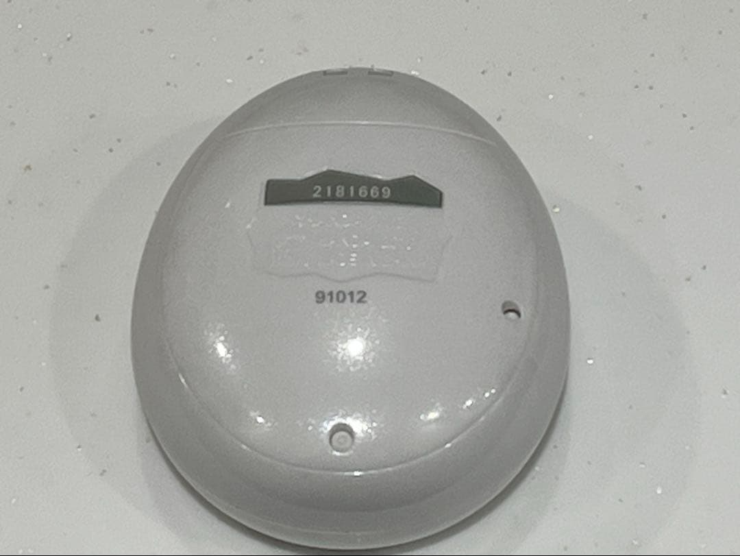 【美品・箱・説明書付き】 たまごっちピース ホワイト