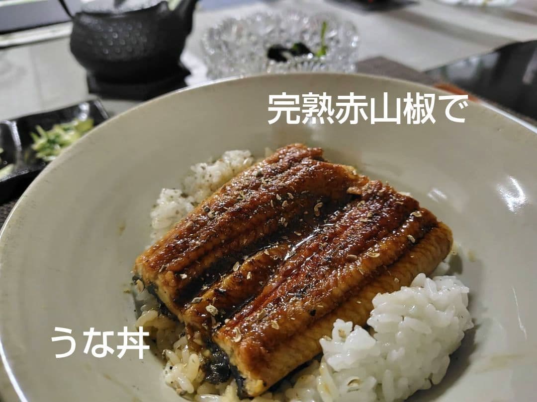 つきあかり10kg　岩手県産 令和６年産 減農薬 玄米 有機栽培 単一原料米